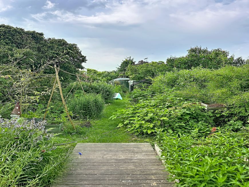 WATTIGNIES